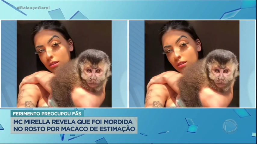 Vídeo: MC Mirella é mordida por macaco de estimação na testa