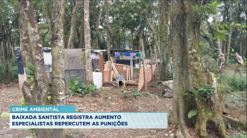 Vídeo: Baixada Santista registra aumento de crimes ambientais