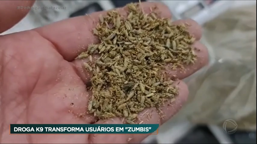 Vídeo: Alerta: droga K9 transforma usuários em "zumbis"