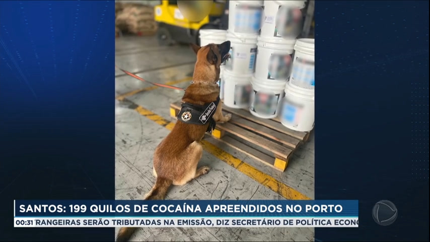 Vídeo: Quase 200kg de cocaína são apreendidos no Porto de Santos (SP)