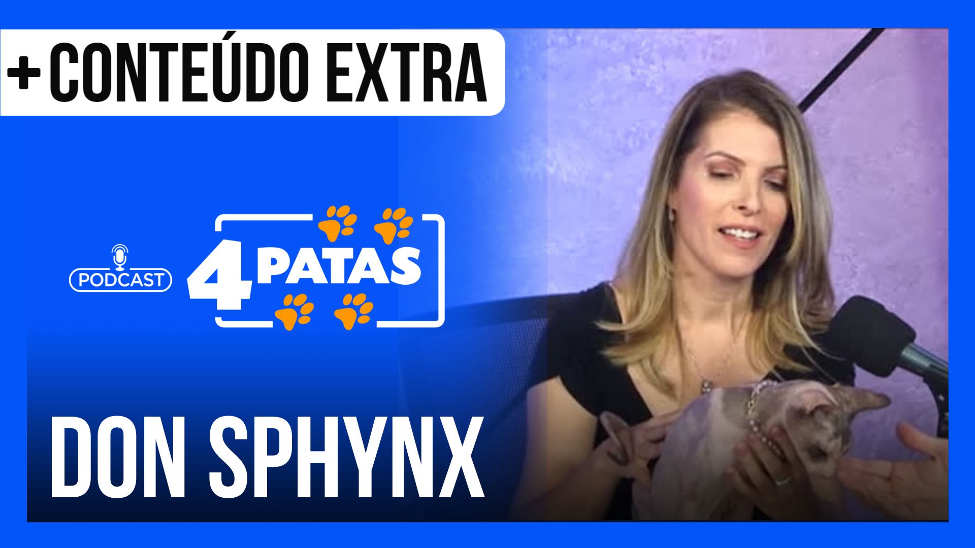 Vídeo: Podcast 4 Patas : Saiba tudo sobre o gato sem pelo, o Don Sphynx