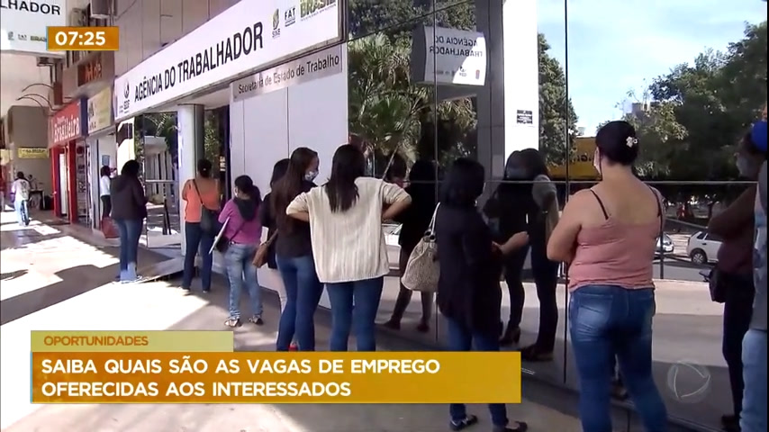 Vídeo: DF oferta 218 vagas de emprego com salários de até R$ 2 mil