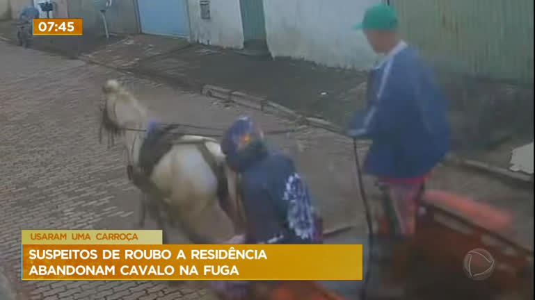 Vídeo: Criminosos usam carroça para furtar casa e abandonam cavalo na fuga