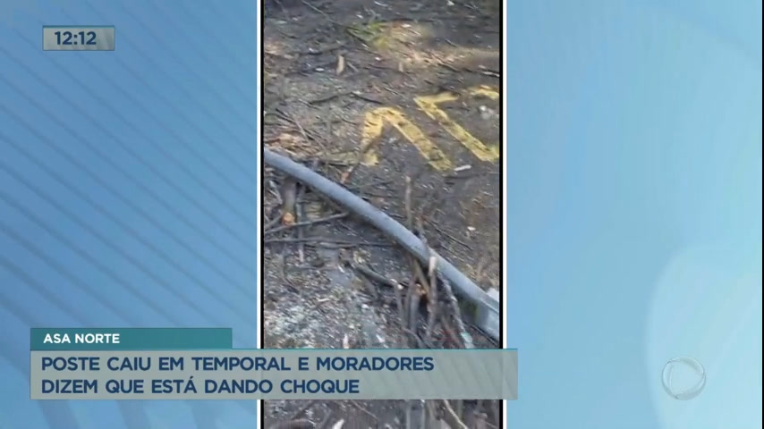 Vídeo: Árvore cai sobre poste na Asa Norte (DF)