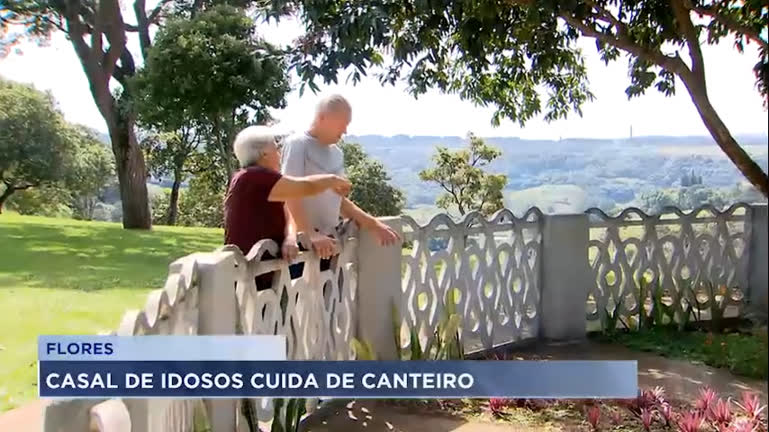 Vídeo: Casal de idosos cuida de jardim em São José