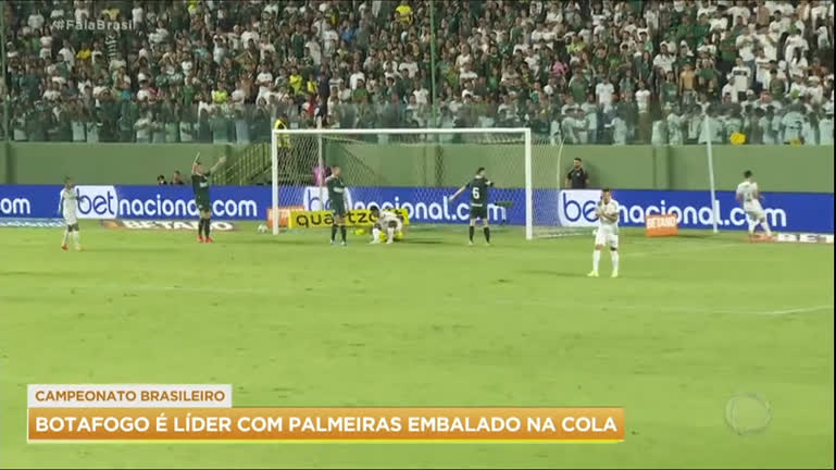 Vídeo: Botafogo tem melhor início em 42 anos e lidera Brasileirão