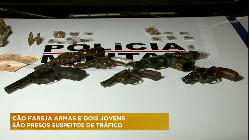 Vídeo: Cão fareja armas e dois jovens são presos suspeitos de tráfico em BH