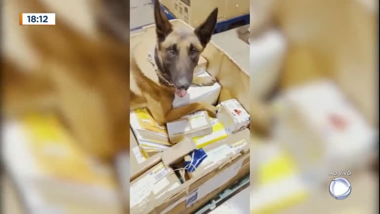 Vídeo: Pacote de drogas enviado pelo correio é apreendido em Aeroporto de Brasília