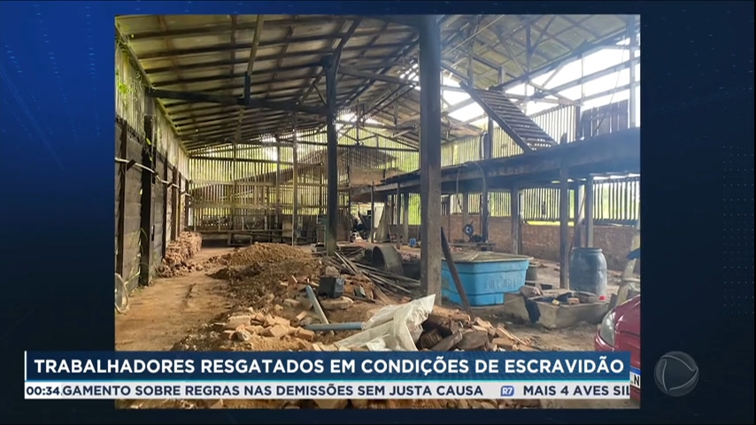 Vídeo: Operação policial resgata trabalhadores em condições de escravidão no Pará