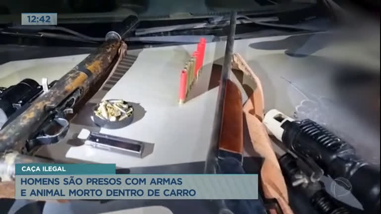 Vídeo: Polícia prende homens por porte ilegal de arma de fogo e crime ambiental, no DF