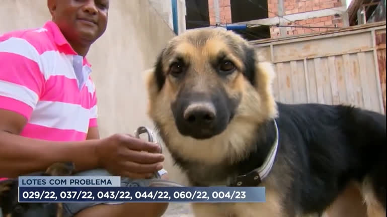 Vídeo: Fabricante da única vacina canina contra leishmaniose do Brasil suspende venda após problemas