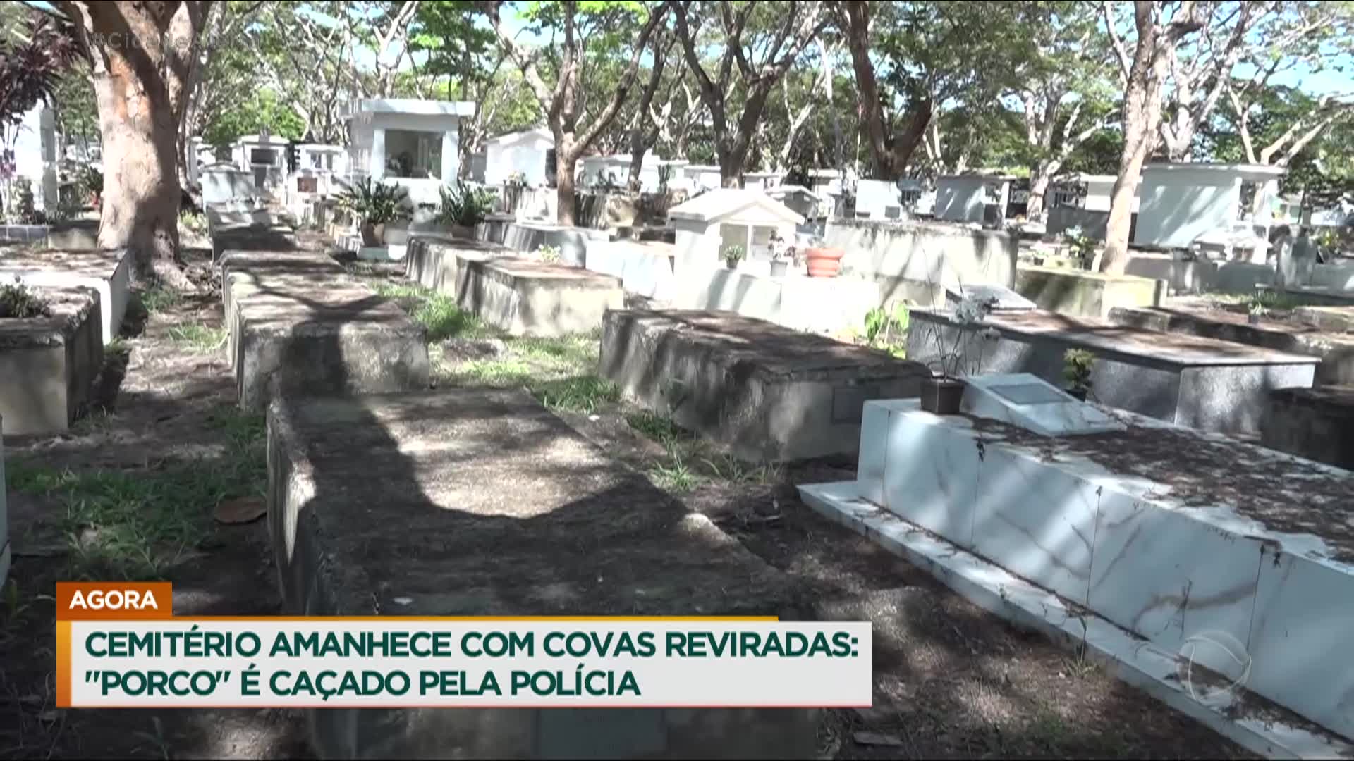 Vídeo: Cemitério tem amanhecido revirado no MT