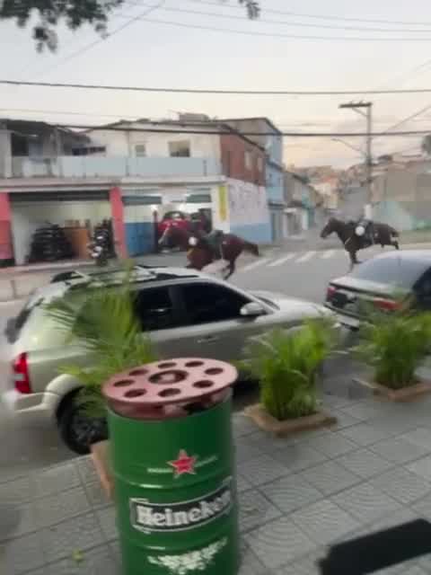 Vídeo: Cavalos da PM se assustam e fogem de agente na zona leste de São Paulo