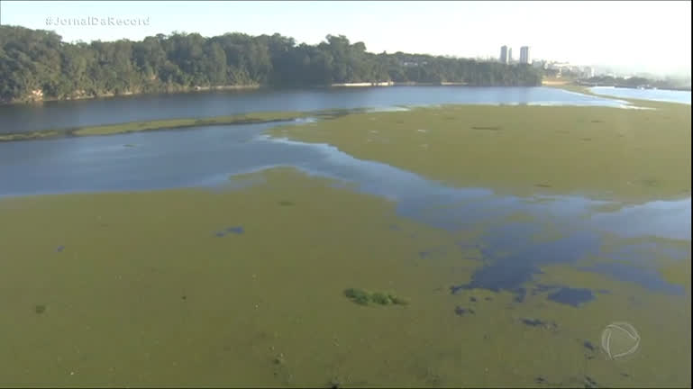 Vídeo: Represa Guarapiranga, em São Paulo, está coberta por planta que indica aumento da poluição da água