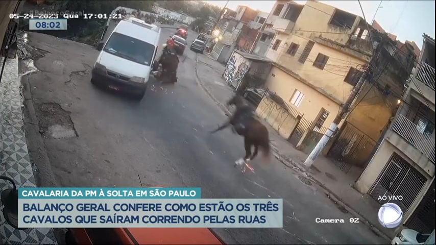 Vídeo: Balanço Geral mostra como estão cavalos da polícia que fugiram pelas ruas de SP