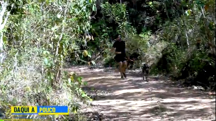 Vídeo: Julinho Casares acompanha treinamento dos cães de pastoreio nesta quarta (31)