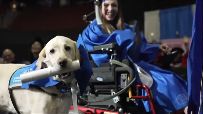 Vídeo: Bichos Curiosos : Conheça o cão que se formou na faculdade