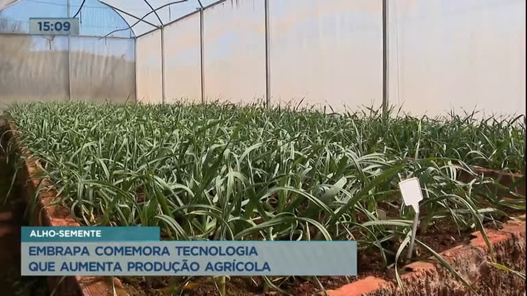 Vídeo: Embrapa comemora tecnologia que aumenta produção agrícola