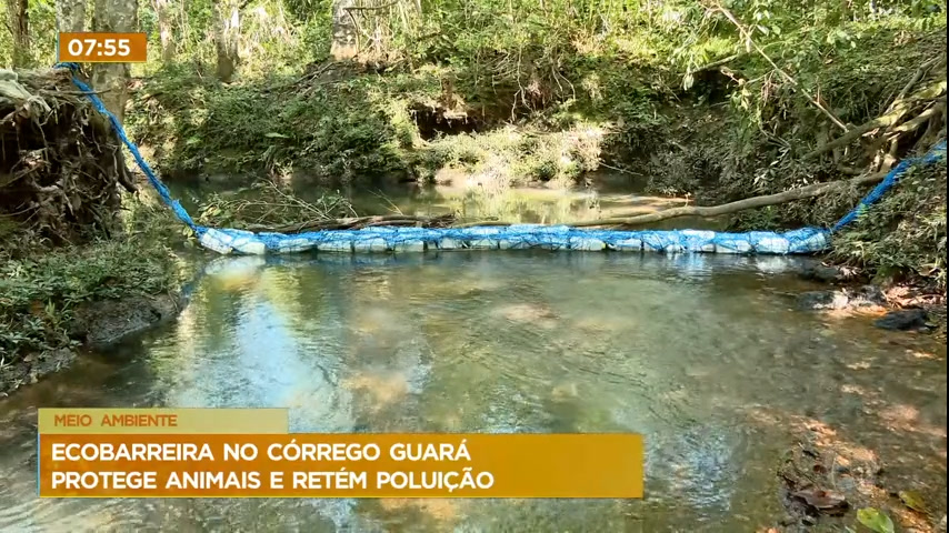 Vídeo: Zoológico de Brasília instala barreira no córrego Guará para conter lixo despejado