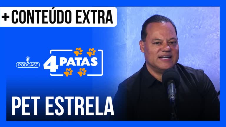 Vídeo: Podcast 4 Patas : Confira como são treinados os cachorros que fazem novelas, filmes e comerciais