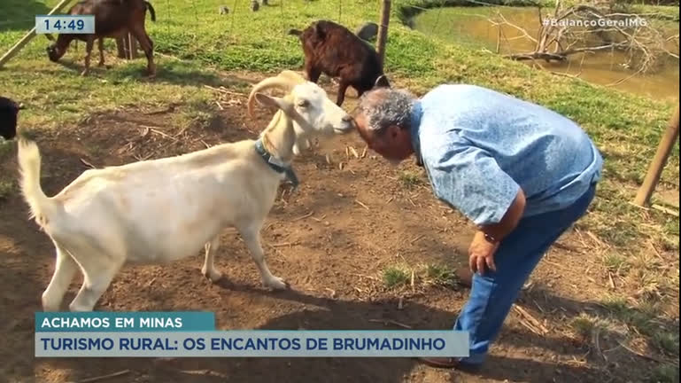 Vídeo: Achamos em Minas: passeio pelos sítios em Brumadinho (MG) guarda surpresas agradáveis