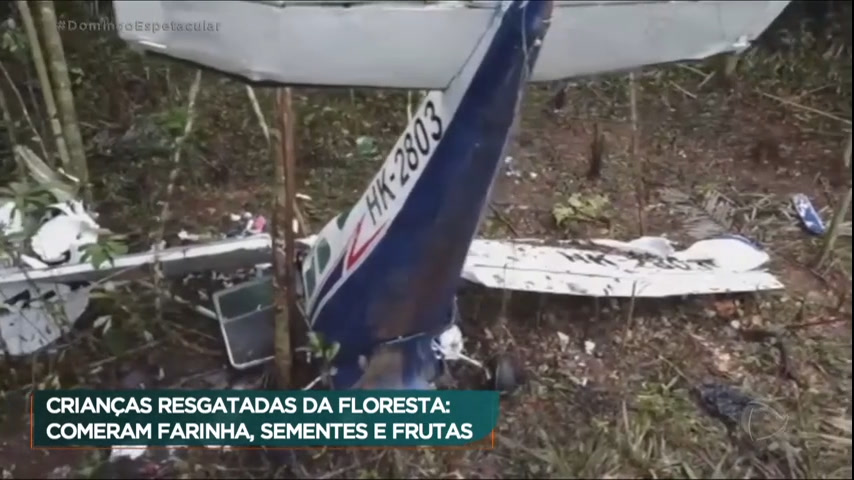Vídeo: Após 40 dias perdidas na floresta, crianças colombianas sobrevivem e são encontradas