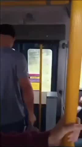 Vídeo: Suspeito de se masturbar em ônibus pula de veículo em movimento para fugir de agressão