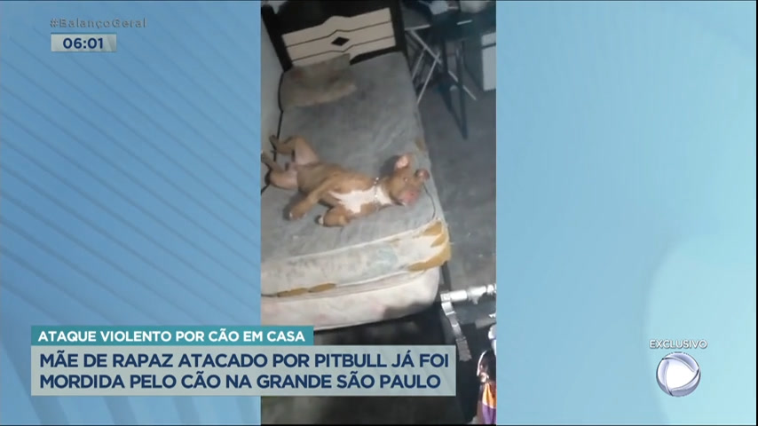 Vídeo: Mãe de jovem atacado por pitbull também já foi mordida pelo animal