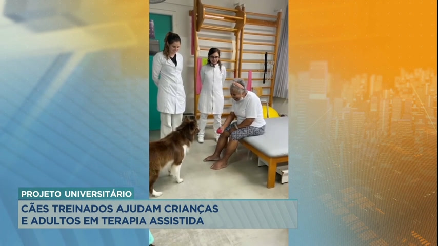Vídeo: Projeto universitário usa cães treinados que ajudam crianças e adultos em terapia assistida