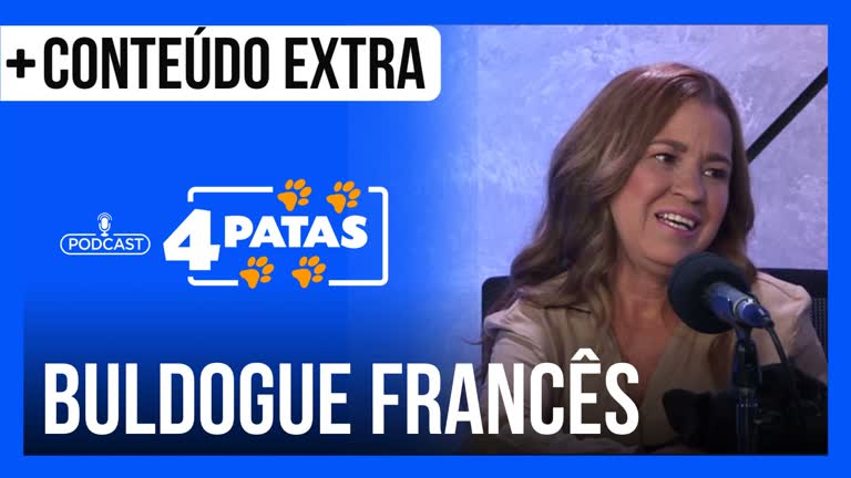 Vídeo: Podcast 4 Patas: Criadora explica cuidados que os tutores devem ter com os cães da raça buldogue francês