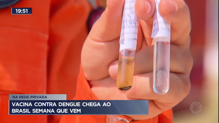Vídeo: Vacina contra dengue chega ao Brasil semana que vem