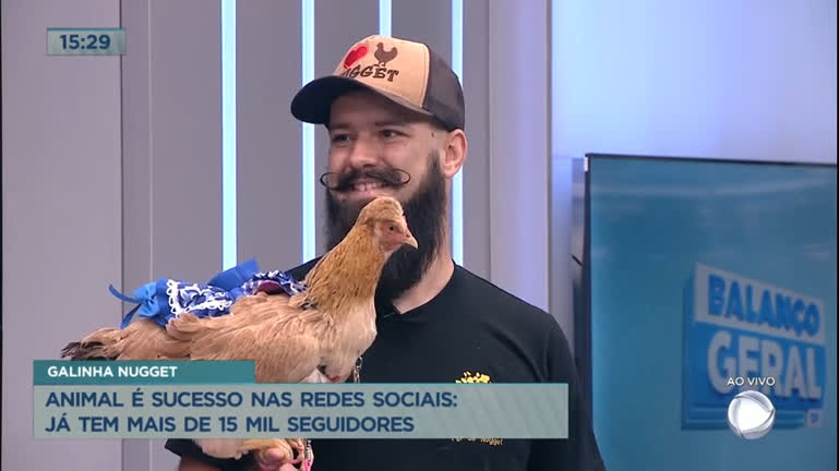 Vídeo: Dono fala sobre sucesso de galinha Nugget nas redes sociais