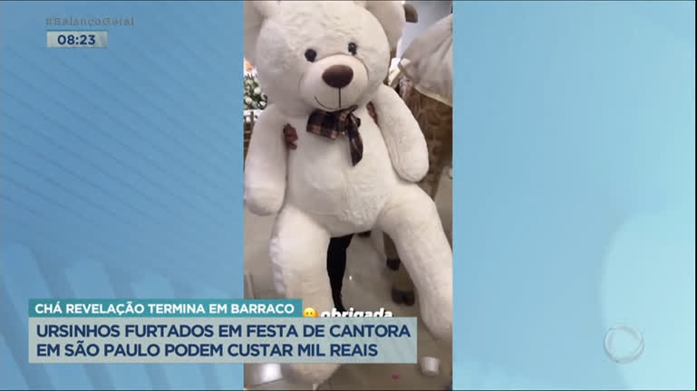 Vídeo: MC Mirella pode ter prejuízo de R$ 1000 com ursinhos furtados em chá-revelação