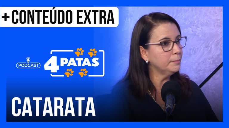 Vídeo: Podcast 4 Patas: Veterinária explica como evitar catarata em cães e gatos