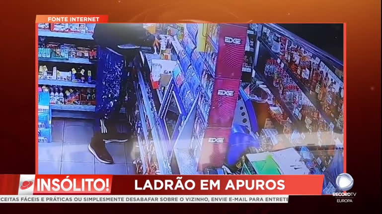 Vídeo: As cobras voadoras!