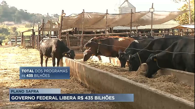 Vídeo: Planos do Governo Federal liberam R$435 bi e garantem infraestrutura para produtores de MG
