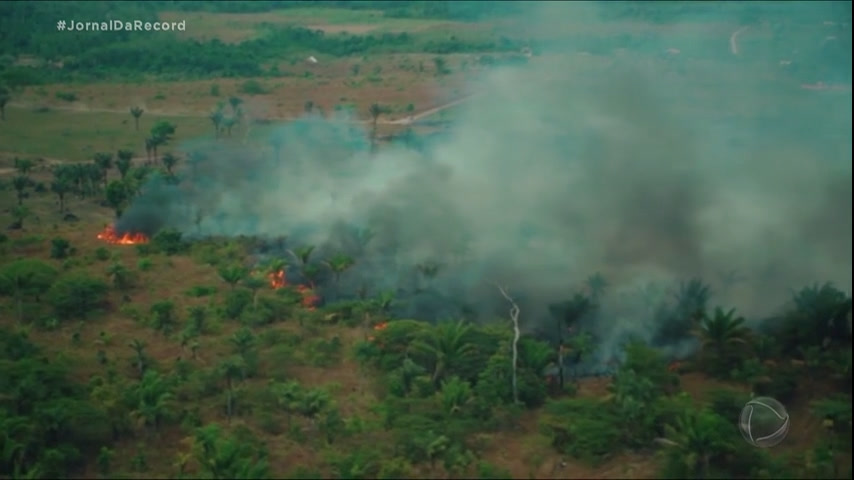 Vídeo: Desmatamento na Amazônia recua mais de 33% no primeiro semestre deste ano