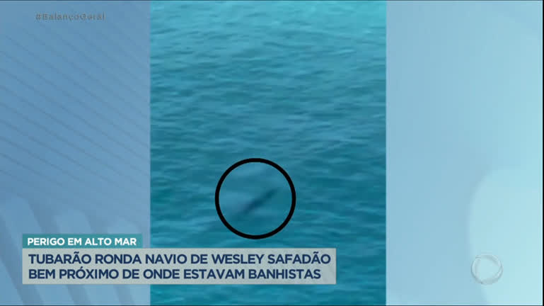 Vídeo: Tubarão ronda navio de Wesley Safadão nas Bahamas