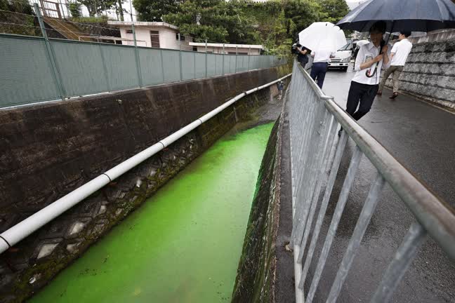 Vídeo: Rio fica verde no Japão e preocupa moradores