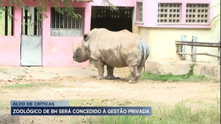 Vídeo: Zoológico de Belo Horizonte é alvo de críticas por falta de infraestrutura e organização