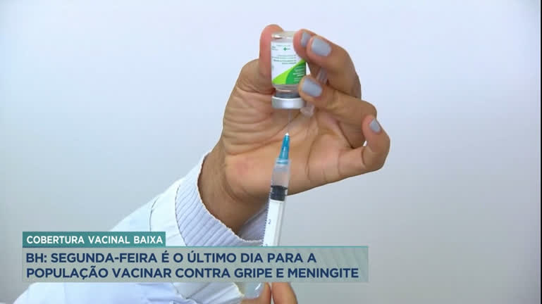 Prazo para vacinação contra gripe e meningite em MG termina segunda-feira (31)