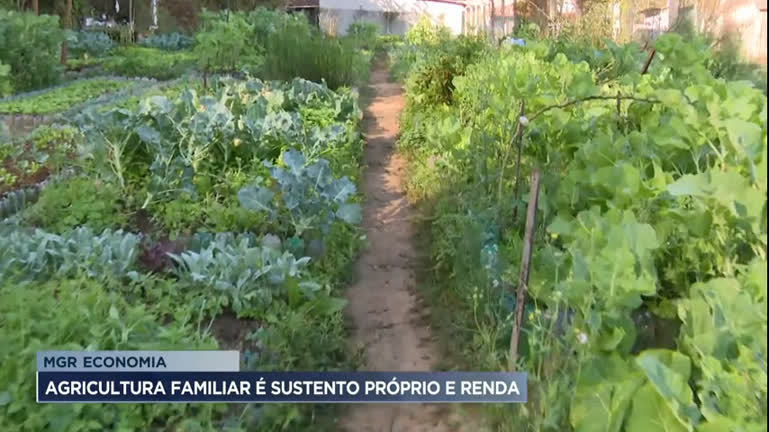 Vídeo: MGR Economia: IBGE coloca Minas Gerais como segundo estado com mais agricultores familiares