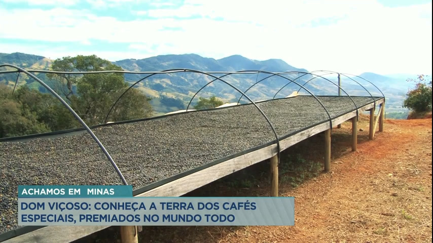 Vídeo: Achamos em Minas: conheça Dom Viçoso (MG), terra dos cafés especiais premiados internacionalmente