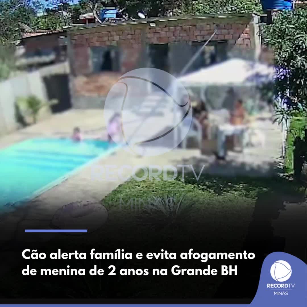 Vídeo mostra cão alertando sobre afogamento de criança em distrito de Brumadinho (MG)