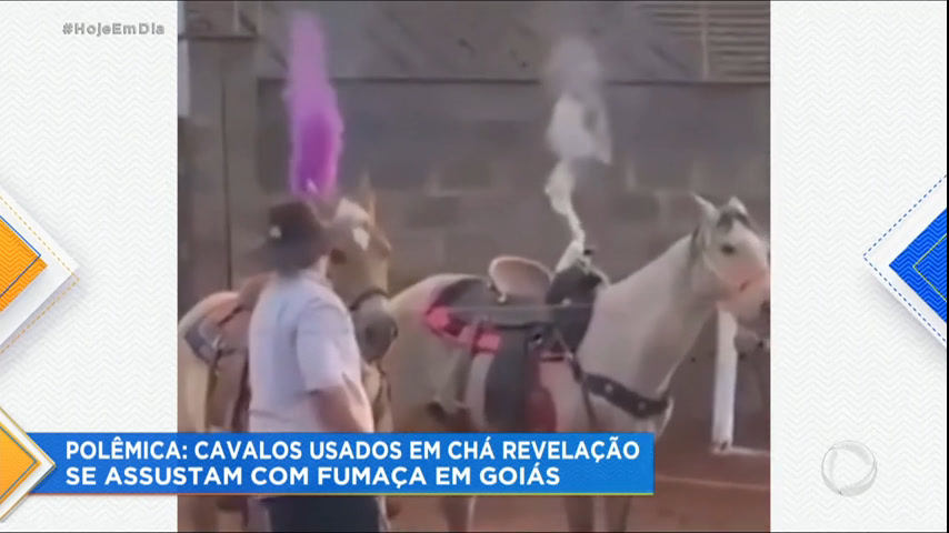 Polícia investiga maus-tratos contra cavalos em chá revelação; vídeo, Goiás