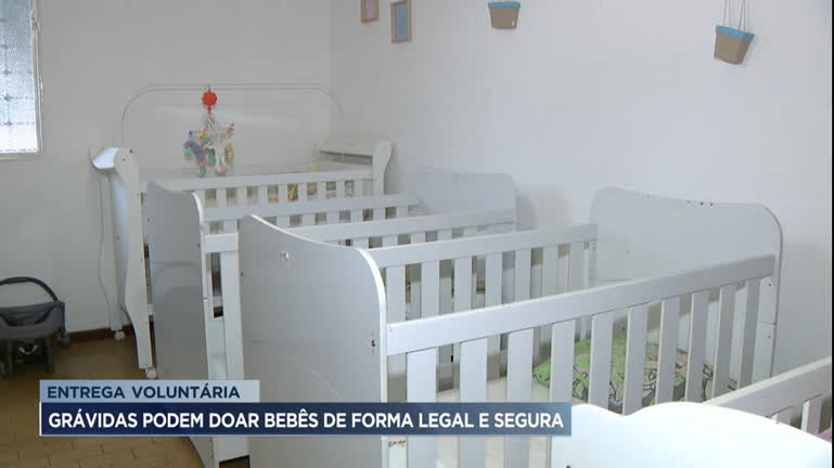 Vídeo: Lei garante que grávidas doem bebês de forma legal e segura