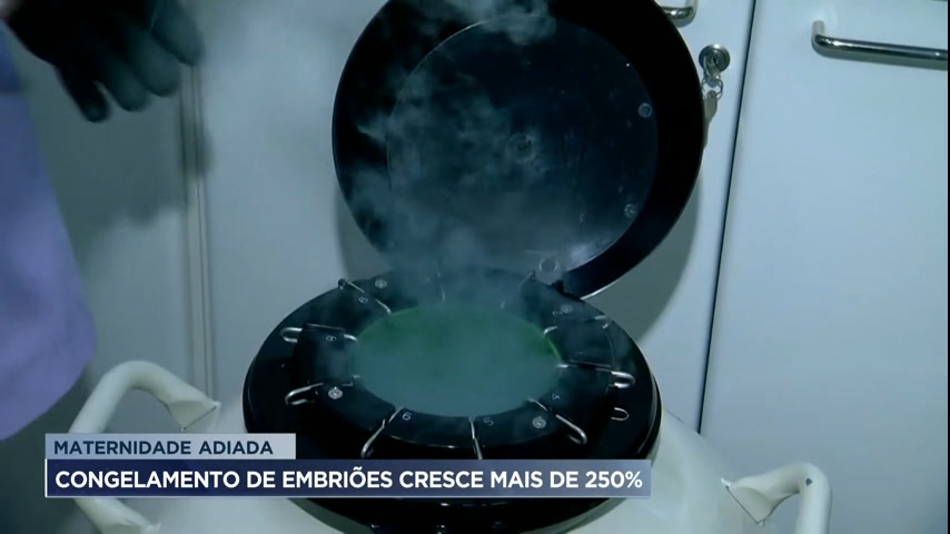 Vídeo: Minas Gerais é o terceiro estado brasileiro com mais embriões congelados