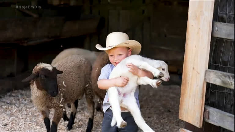 Vídeo: Menino de 2 anos apaixonado por animais viraliza na web