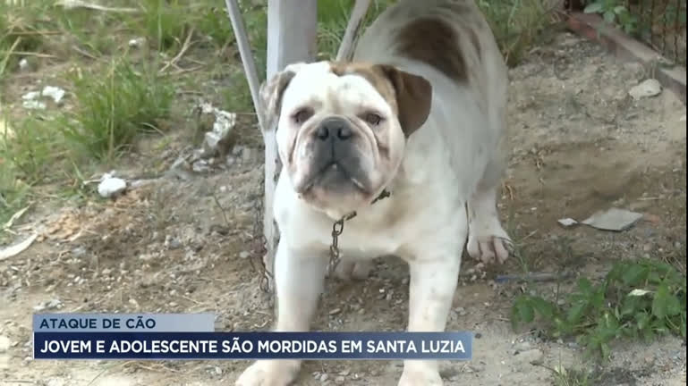 Vídeo: Jovens são mordidas por cão em Santa Luzia (MG)