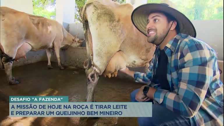 Vídeo: Repórter da Record TV Minas é desafiado a tirar leite de vaca durante semana em fazenda